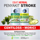 Illustration for article titled Obat Stroke Dari Tumbuhanem/em